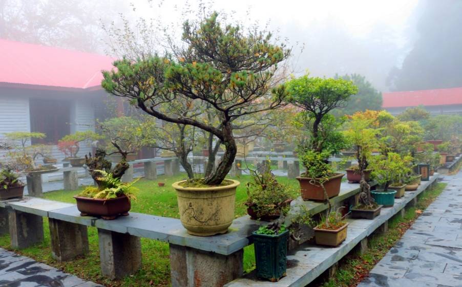 古代大v们为何都要来庐山?