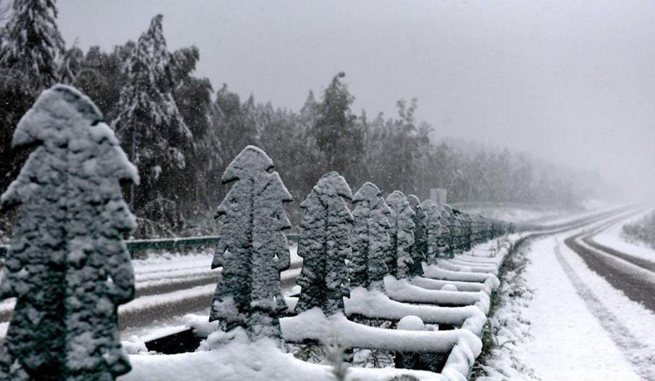 黑龙江漠河5月飞雪图片