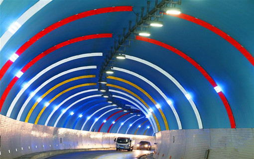 浙江安吉"彩虹隧道"亮相