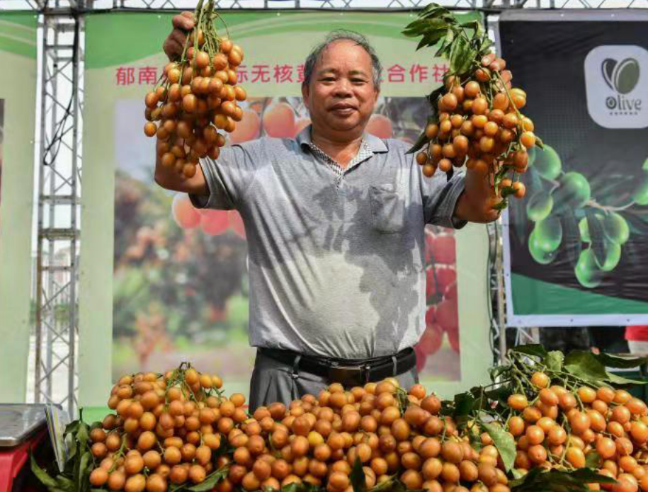 广东郁南:无核黄皮文化节助力乡村振兴